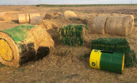 На Чортківщині вандали понищили солом'яну фотозону, яка втішала малечу і дорослих (+фото)