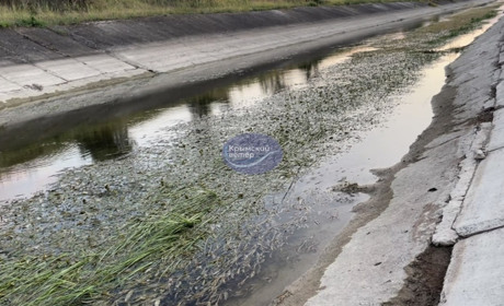 Кримські афери з артезіанською водою колаборанти хочуть впровадити на окупованій Херсонщині