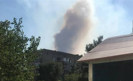 Біля Нової Каховки горить ліс (відео)