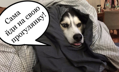 На початку наступного тижня ще буде дуже холодно: прогноз погоди на 8-10 січня