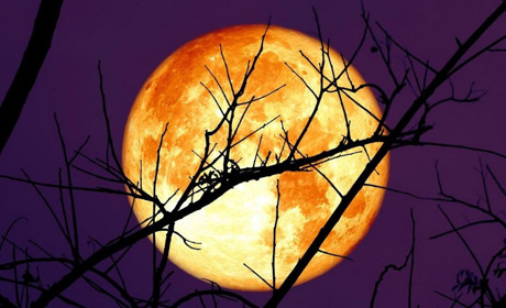 Місячний календар на квітень 2026: сприятливі дні та позитивні дати для стрижок