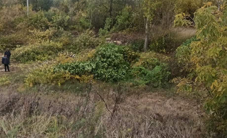 І знову - про лісорубів... Неподалік Іскрисківщини поліція затримала правопорушника