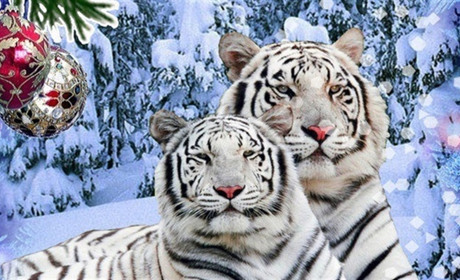 Святкові дні у 2022 році: скільки буде перенесених вихідних і довгих вікендів