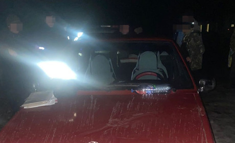 Дві дикі косулі та нелегальна зброя — на Звягельщині затримали браконьєрів