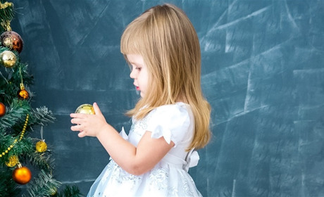 Онлайн-опитування: яка ялинка буде прикрашати вашу оселю у новорічні свята?