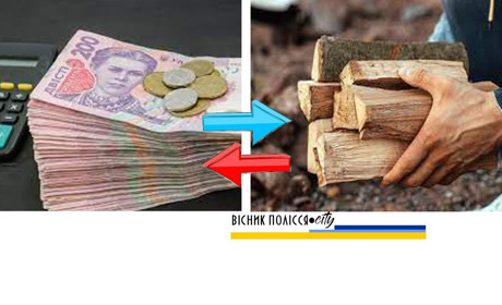 На Рівненщині більше 30 тисяч домогосподарств отримали додаткову фінансову підтримку на дрова