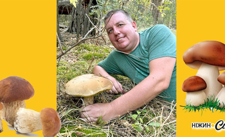 З КОШИКОМ У ЛІСОВУ ТИШУ...