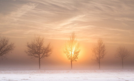 Опади припиняться, температура повітря знизиться: якою буде погода на Сумщині на початку тижня