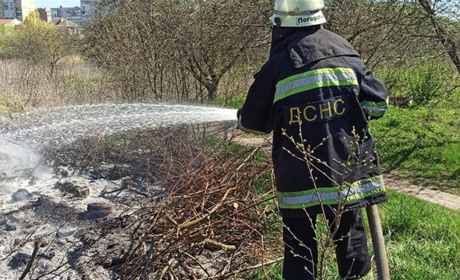 Три пожежі за два дні: жителі Переяславщини попри заборону підпалюють суху рослинність ФОТО