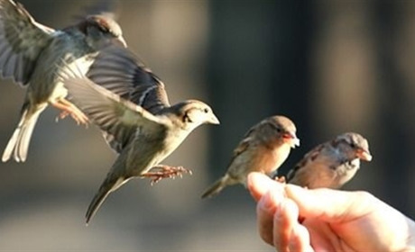 Погода у Старокостянтинові на 9-14 квітня: синоптики прогнозують багато тепла і сонця