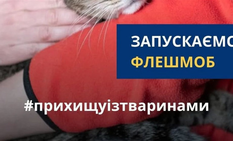 Як допомогти Херсонщині. П’ять перевірених зборів