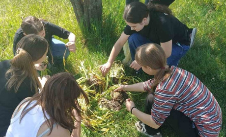 Завдяки учням Біляївського ліцею №1 екостежка "Дністровія" щороку поповнюється первоцвітами