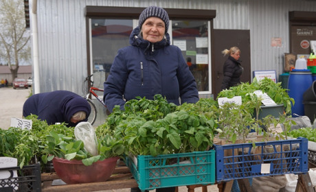 На базарі у Переяславі головним товаром була розсада. Продавці радили, як її обрати