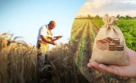 Агровиробники прифронтових територій можуть скористатись агрострахуванням до 60%