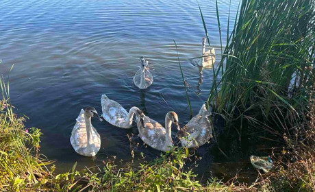 Погода у Старокостянтинові на 1-6 жовтня: яким буде початок місяця