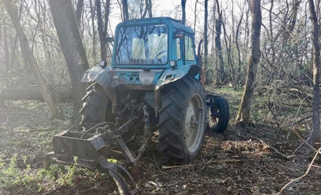 Троє чоловіків незаконно вирубали ліс на Шосткинщині: збитки перевищують мільйон гривень