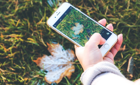 Що постили сватівчани і підписники Сватове.City в Instagram у останній тиждень листопада 2019