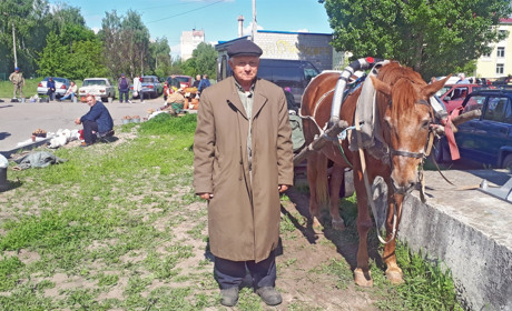 83-річний Василь Ємець зі Стовп'яг їздить підводою на недільний базар у Переяслав