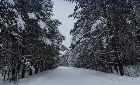 Радіаційний стан навколо Хмельницької АЕС за минулий тиждень