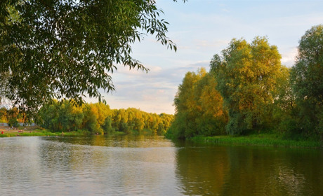 РАЕС не чинить негативного впливу на довкілля