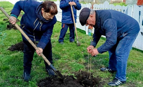 Калина пам’яті та надії: у Сомковій Долині на Переяславщині випускники висадили алею