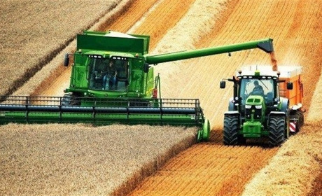 У Чернігівській області аграрії продовжують збір врожаю та посів озимини