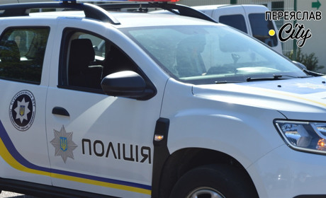 Уночі поблизу Хоцьок на автомобіль жінки вискочила дика коза: хроніка поліції