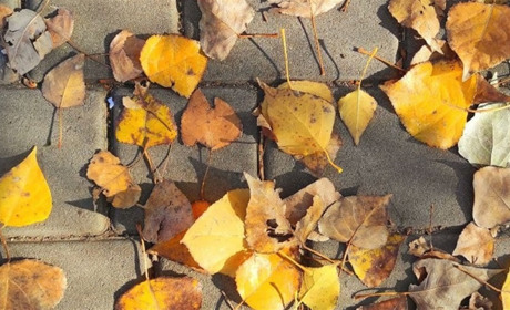 Туман та дощ. Якою буде погода в Южноукраїнську в перший тиждень листопада