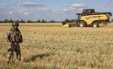 Окупанти готують нову хвилю вивезення українського зерна з ТОТ Херсонщини