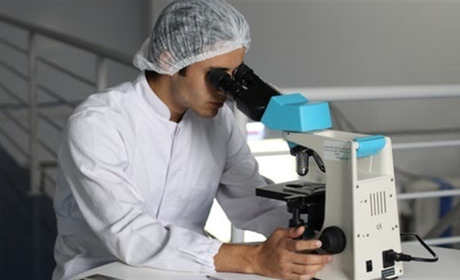 Скільки випускників шкіл Сватівського району і де навчається за гроші районного бюджету