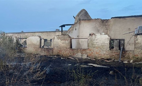 Палаючий сухостій став причиною пожежі в цегляної будівлі на Звягельщині