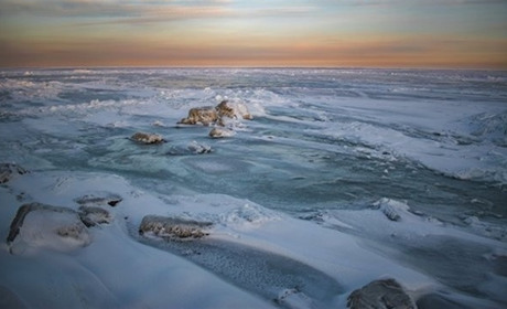 Арктика в Україні (фото)