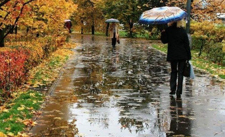 Мокрий сніг та сильний вітер: у Дніпропетровській області попереджують про погіршення погодних умов