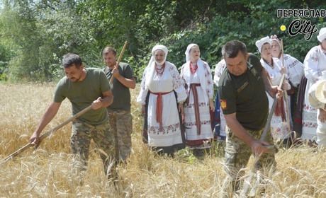Захисники накосили хліба на полі під Переяславом: обряд зажинок провели з ініціативи Миколи Томенка