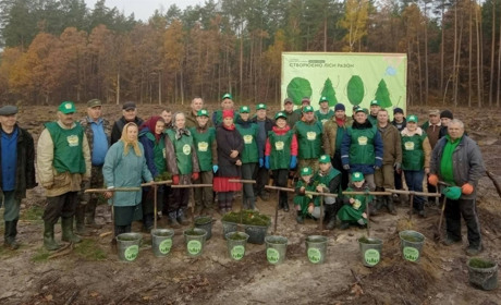 Рафалівське лісництво та небайдужі громадяни стали учасниками акції «Зелена країна»