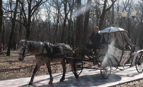 Как провести в Мелитополе выходные дни 16-17 марта