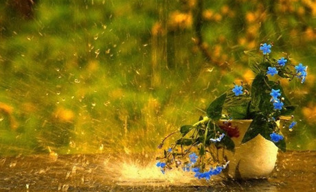 Короткочасні дощі та місцями грози: прогноз від синоптиків Сумщини на 20-21 серпня