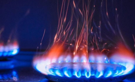 Чи зможуть золотонісці один день прожити без газу?