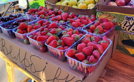 Сезонні ягоди у Гадячі: звідки привозять й за скільки продають