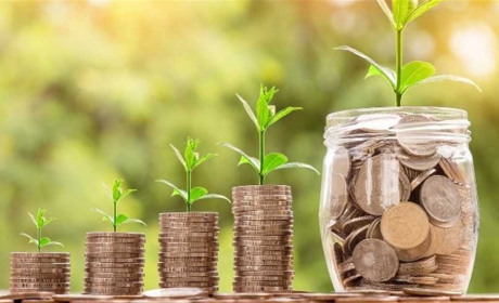 Фермерам Сірогозщини держава пропонує фінансову підтримку: хто та як може отримати кошти