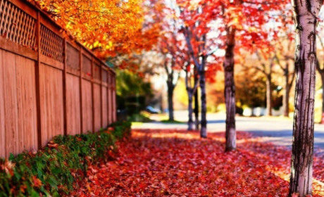 Запорожье в шаге от "красной" зоны