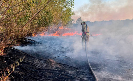 Бездумність вчинків на межі з безумством: ДСНС інформує