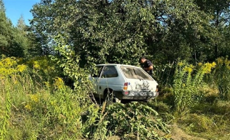 Дві "нетверезі" ДТП на Звягельщині — рух обох автівок "зупинили" дерева