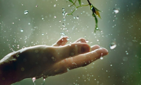 Найближчими днями синоптики Сумщини прогнозують невеликий дощ: прогноз погоди