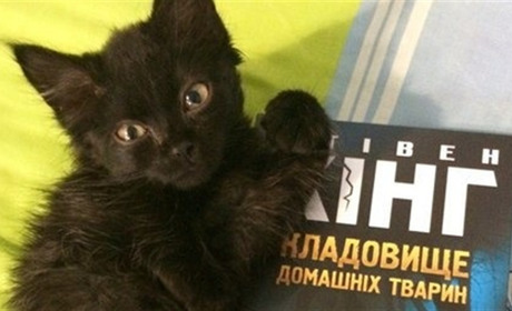 Чтиво на вечір: Стiвен Кiнг "Кладовище домашніх тварин"