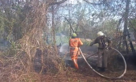 Рятувальники приборкували пожежу, що виникла у Ворожбі через дитячі пустощі з вогнем