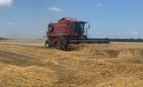 На Переяславщині розпочалися жнива-2021