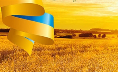 Щоденник війни. Тиждень сто сімдесят п'ятий. Кожен відповідатиме за свою участь у геноциді