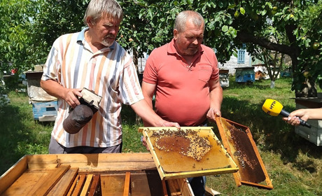 Проблема пасічників Красносілля і Зеленого через аграріїв? Що кажуть фахівці?
