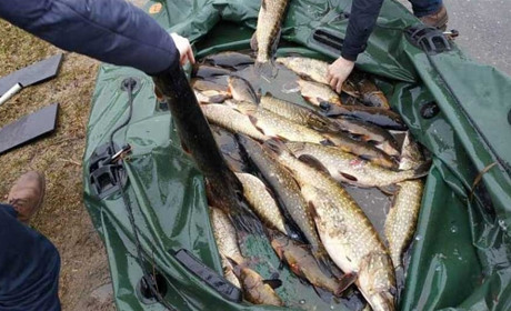 До уваги рибалок Білопільщини: зросли штрафи за незаконний вилов риби. Скільки заплатять браконьєри